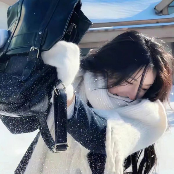 雪莉2024